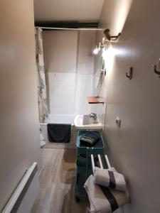 Appart Gîte Les Oiseaux- face Loire Quai du Châtelet