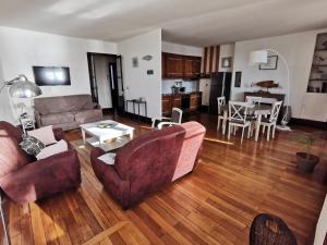 Appart Gîte Les Oiseaux- face Loire Quai du Châtelet