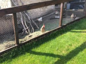 A Cotswold Cabin with Great Views and a Hot Tub