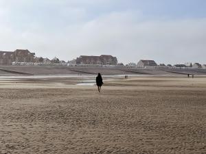 Appartements Fenetres sur mer : photos des chambres