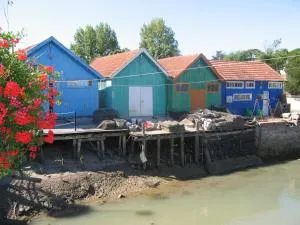 ULVF Les Beaupins - La Gautrie