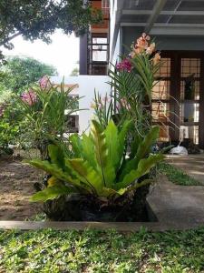 Casa Erlinda, modern newly built house 3BR for 8!