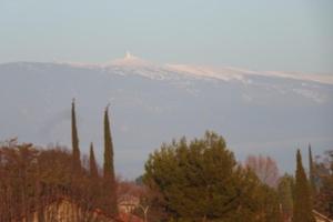 Appartements A proximite du Mont Ventoux : Appartement Supérieur 1 Chambre