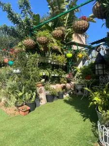 צימר אלין בכפר - Kiryat Ekron