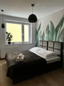 Niron Apartament Dąbrowskiego - Koszyce