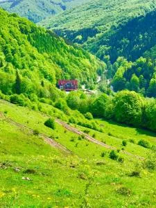 Cabana Izvoarele Doftanei - Trăisteni