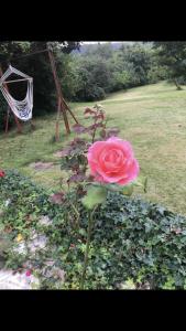 Aussichtszimmer mit modernem Glasbad und Balkon