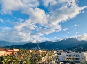 Appartements Appartement Les Asphodeles Calvi : photos des chambres