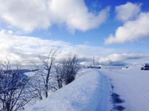 Chalets Chalet en Couleurs : photos des chambres