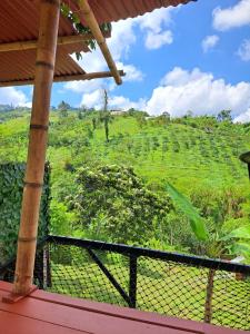 Hotel Glamping Horse