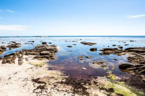 Maisons de vacances Escapade dans une belle longere a Penmarch : photos des chambres