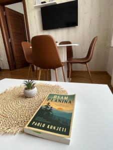 Divčinova Apartman 008