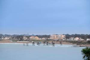 Appartements Appartement Vue mer pour 4 a 50m Plage : photos des chambres