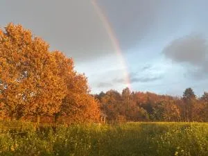 Hipsy-Gipsy retreat-ranch - 布尔坦赫城