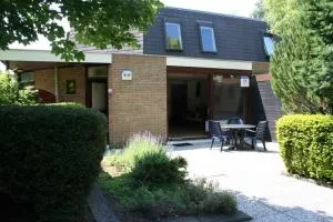 Liguster 73* - 尼乌弗利特