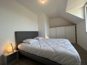 Villas 668 - Magnifique maison familiale vue mer, 12 voyageurs a deux pas du centre d'Erquy : photos des chambres