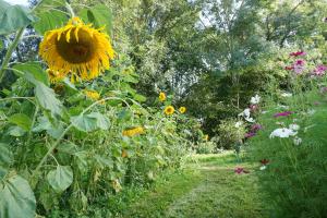 Sejours chez l'habitant Green Home - La Roche-Guyon - Adults Only : photos des chambres