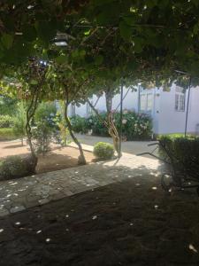 Real Santo António Guest House