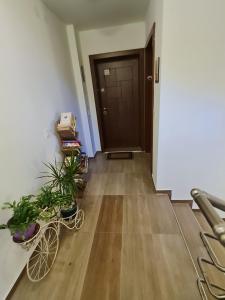 Cozy apartment with balcony