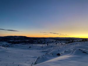 Delikat hytte omgitt av Hallingdals vakre fjell
