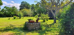 Maison charmante à Narbonne avec piscine et jardin