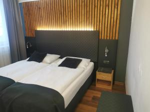 Double or Twin Room room in Penzion Stella