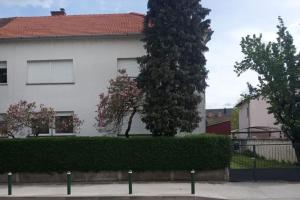 Charming flat, city center with free parking