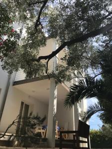 Guesthouse - Hotel California