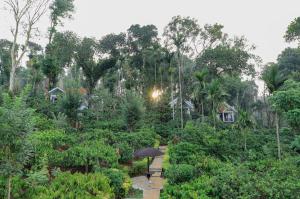 Dhanagiri Homestay Wayanad