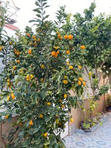 CASA TORRE Y MAR with 2 bedrooms pool barbecue patio & sun terrace