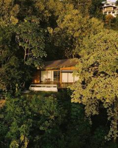 Casa Samambaia - sea view tropical paradise w pool