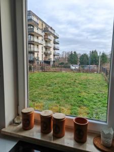 Love Live Łódź z ogrodem, Parking, Grill