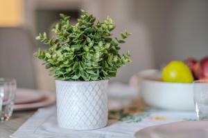 Charles Bridge Prague Apartment