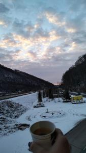 Vila Poienița Căciulata