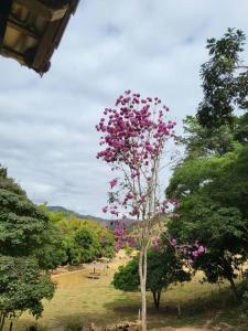 Fazenda da Sapucaia - Única em Charme