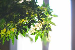 Appartements JapanRoom Jacuzzi&Sauna Haut de gamme parking free : photos des chambres