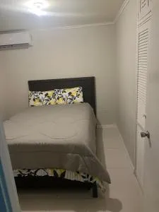 SHC Experience - Cherry Garden