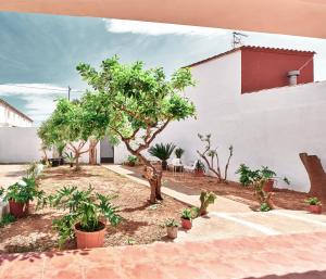 La Bombonera
