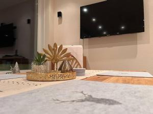 Penthouse - Panorama Suite - Hohegeiß