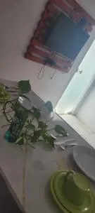 Studio Jéssica - Arunta