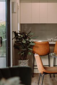 Little Lodge - Willunga - C21 SouthCoast Holidays