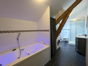 Maisons de vacances Gite Val de Loire avec piscine chauffee, tennis, WIFI, BBQ - FR-1-590-125 : photos des chambres