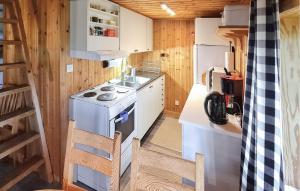 Gorgeous Home In Idre With Kitchen