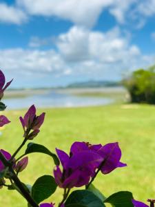 Espaço encantador na Lagoa- Morada colorida: lugar de gente feliz!