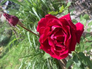 Casa Descanso en el Campo con Hermosa Vista a los Farallones