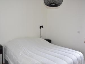 Appartements Appartement recent, terrasse spacieuse, proche centre & telepherique - FR-1-464-225 : photos des chambres