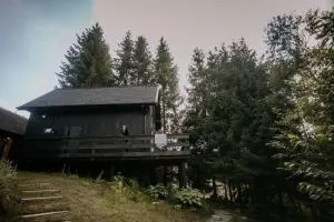 Poczciwy Bies - Myczków