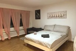 Newly 1.5 rooms furnished apartment @ Dübendorf - Fällanden