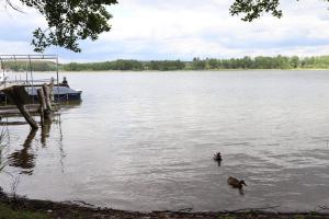 Ferienhaus Star Villa-Pälitzsee