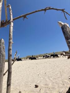 Campings Mobil home Happiness33 dans camping 5 etoiles acces direct plage Vendays Montalivet : photos des chambres